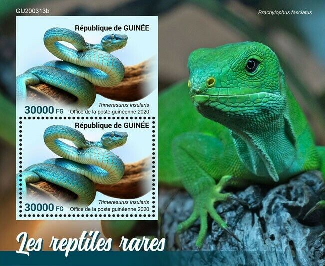 Guinea Rare Reptiles Stamps 2020 MNH Pit Vipers Snakes Lizards 2v S/S + IMPF