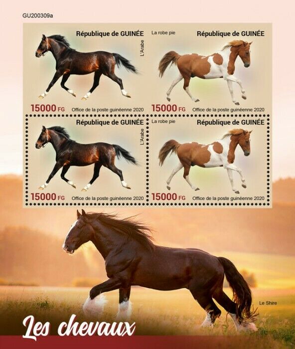 Guinea 2020 MNH Farm Animals Stamps Horses Magpie Arabian Horse 4v M/S + IMPF