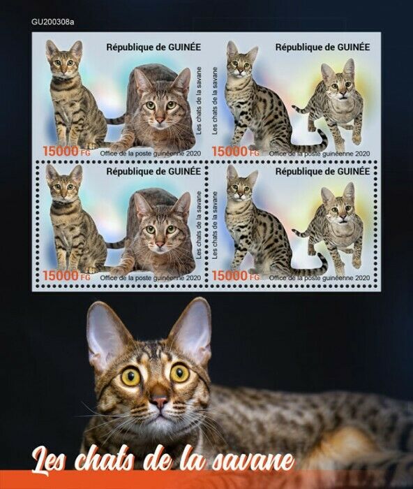Guinea 2020 MNH Cats Stamps Savannah Cat Domestic Animals Pets 4v M/S + IMPF