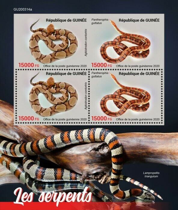 Guinea Reptiles Stamps 2020 MNH Snakes Copperhead Corn Snake 4v M/S + IMPF
