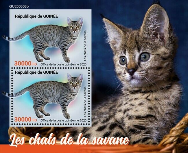 Guinea 2020 MNH Cats Stamps Savannah Cat Domestic Animals Pets 2v S/S + IMPF
