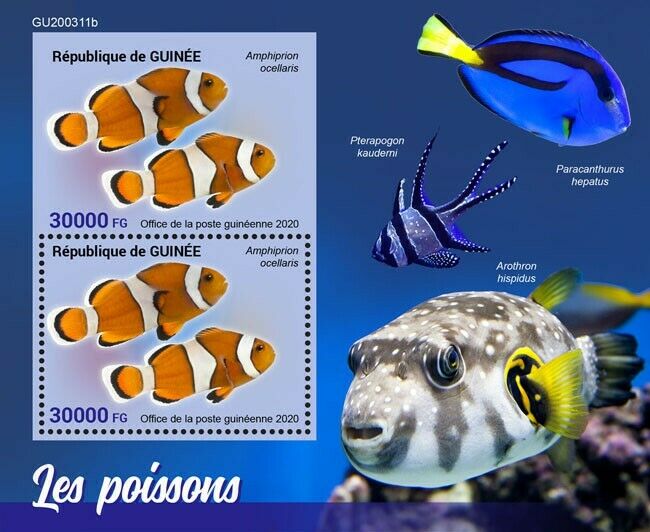 Guinea Fish Stamps 2020 MNH Fishes Ocellaris Clownfish 2v S/S + IMPF