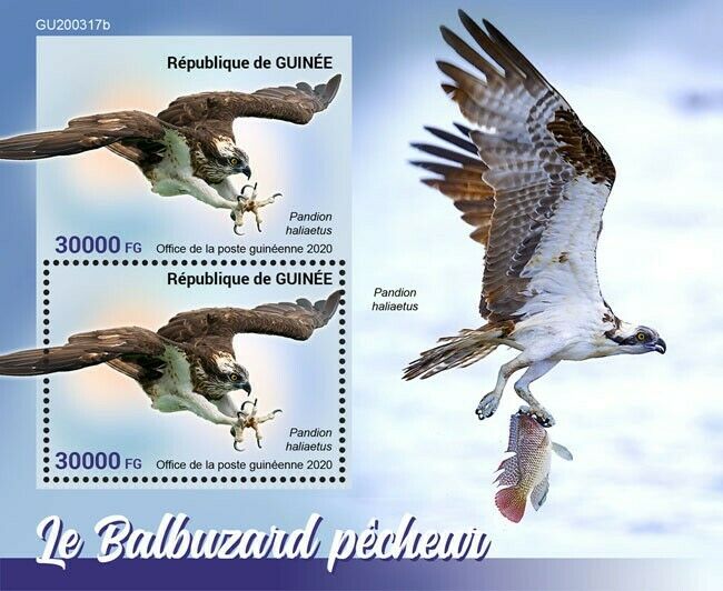 Guinea 2020 MNH Birds of Prey on Stamps Osprey Fish Hawks Raptors 2v S/S + IMPF