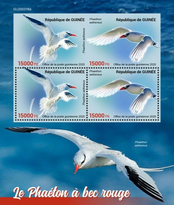 Guinea 2020 MNH Birds on Stamps Tropicbird Red-Billed Tropicbird 4v M/S + IMPF