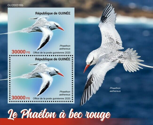 Guinea Birds on Stamps 2020 MNH Tropicbird Red-Billed Tropicbird 2v S/S + IMPF