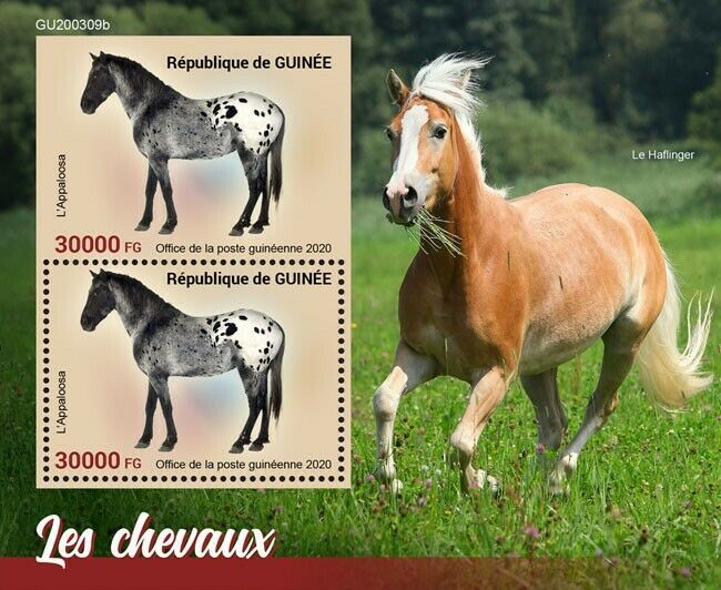 Guinea Farm Animals Stamps 2020 MNH Horses Appaloosa Horse 2v S/S + IMPF