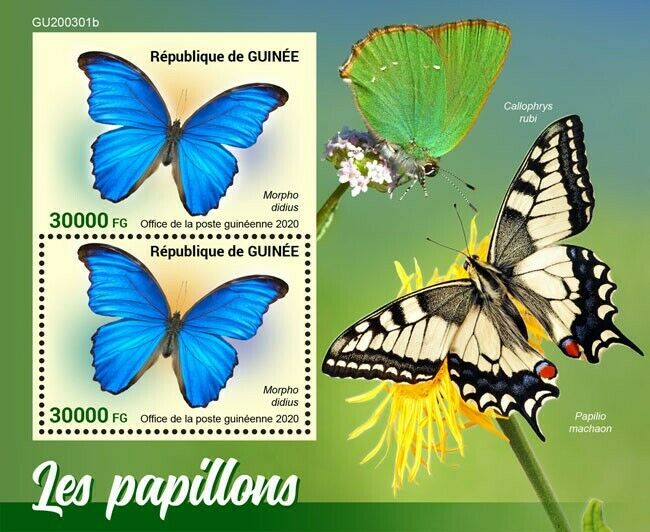 Guinea 2020 MNH Butterflies Stamps Giant Blue Morpho Butterfly 2v S/S + IMPF