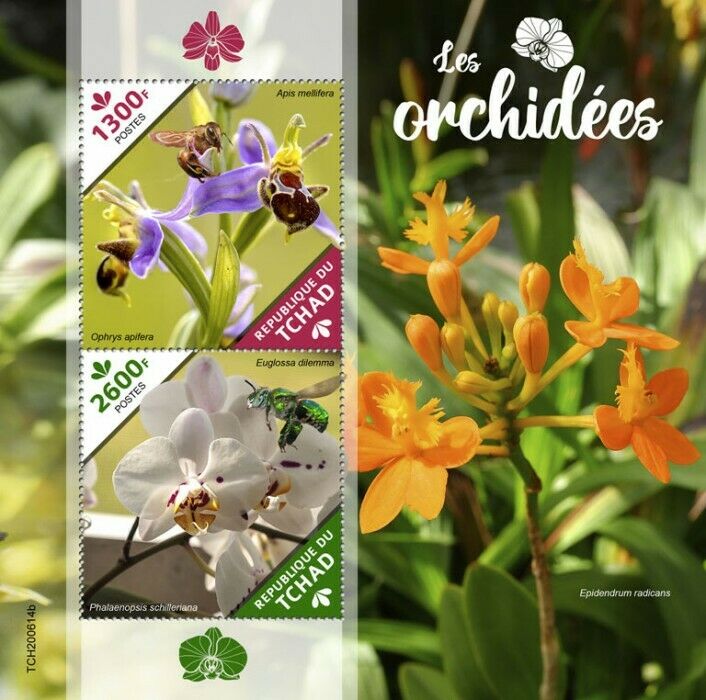 Chad 2020 MNH Flowers Stamps Orchids Ophrys Orchid Honey Bees Nature 2v S/S