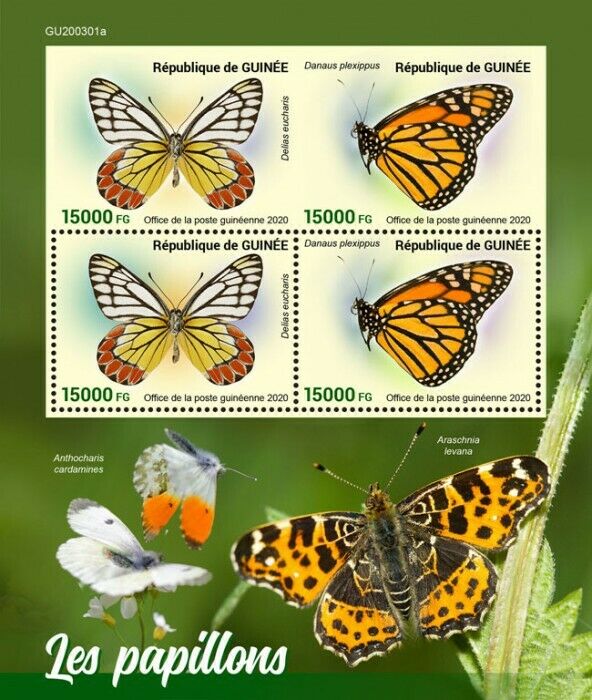 Guinea Butterflies Stamps 2020 MNH Common Jezebel Monarch Butterfly 4v MS + IMPF