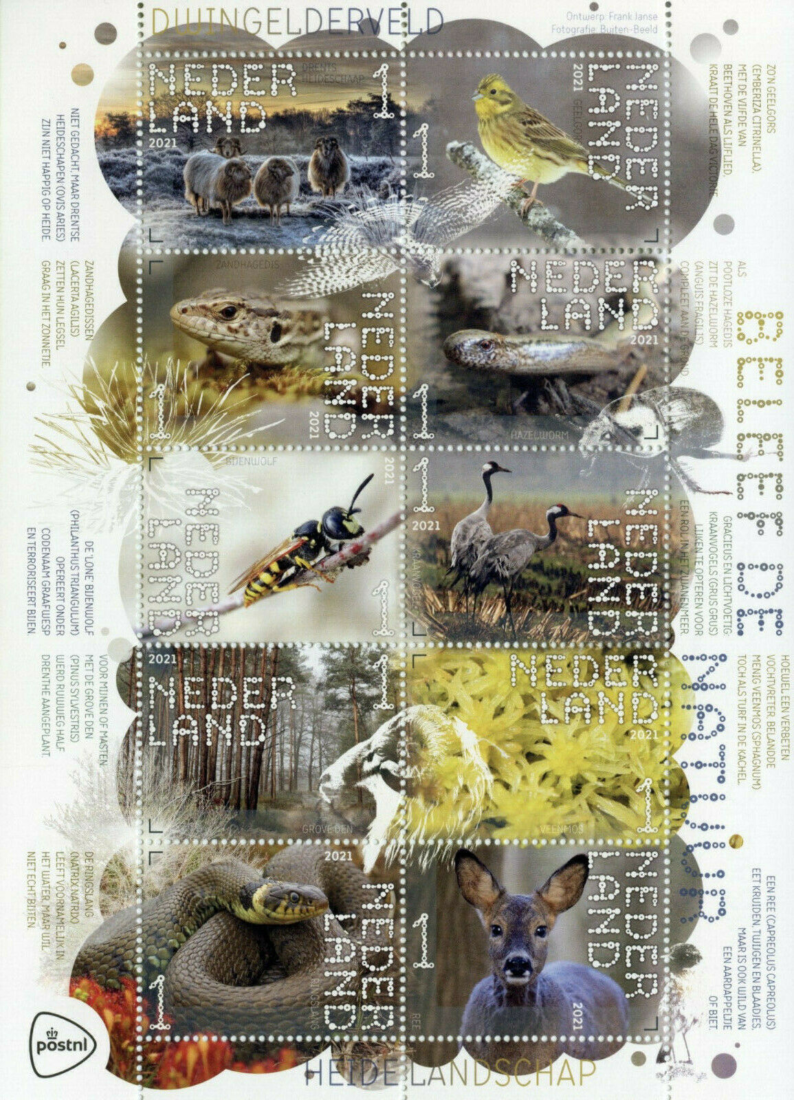 Netherlands Experience Nature Stamps 2021 MNH Dwingelderveld Birds Snakes 10v MS