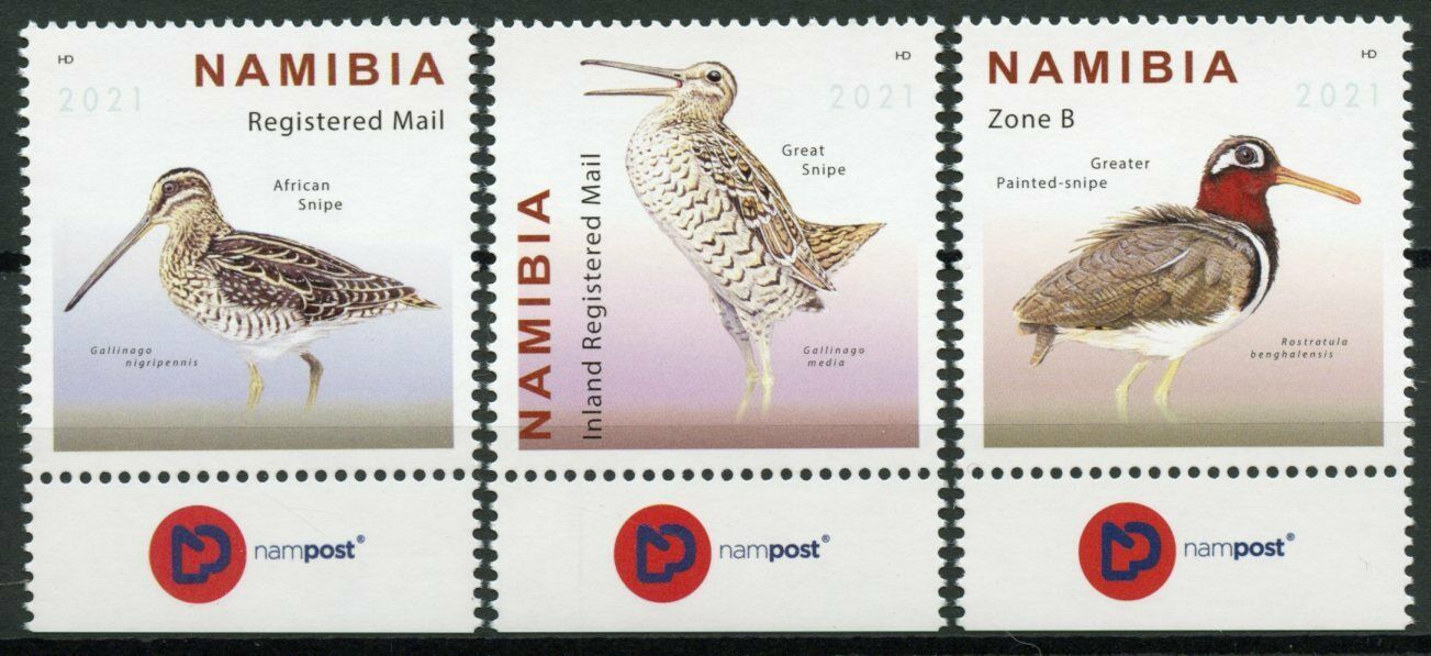 Namibia Birds on Stamps 2021 MNH Snipes Great African Snipe 3v Set + Selvedge B
