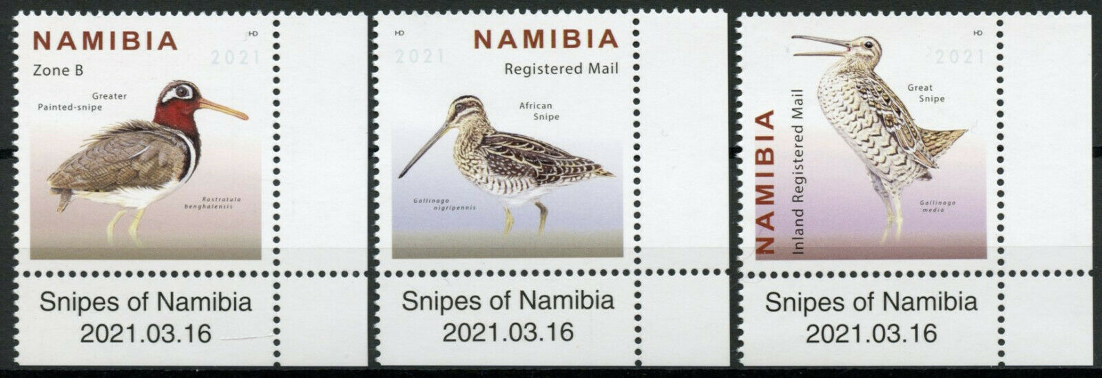 Namibia Birds on Stamps 2021 MNH Snipes Great African Snipe 3v Set + Selvedge A
