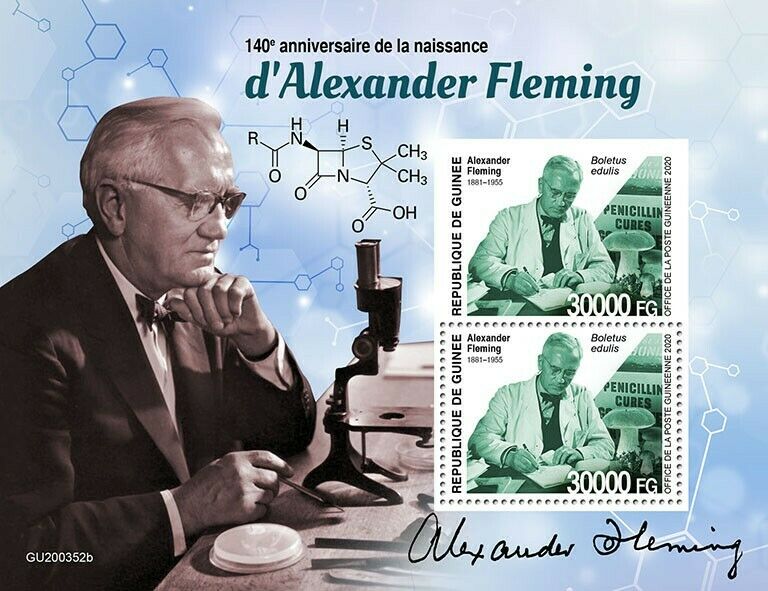 Guinea Medical Stamps 2020 MNH Alexander Fleming Mushrooms People 2v S/S + IMPF
