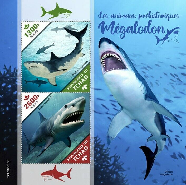 Chad Sharks Stamps 2020 MNH Megalodon Shark Prehistoric Animals 2v S/S