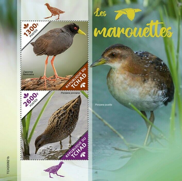 Chad Birds on Stamps 2020 MNH Crakes Black Spotted Crake 2v S/S