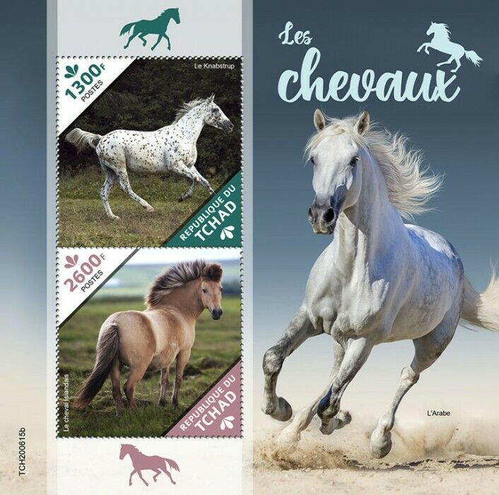 Chad 2020 MNH Farm Animals Stamps Horses Knabstrup Arab Icelandic Horse 2v S/S
