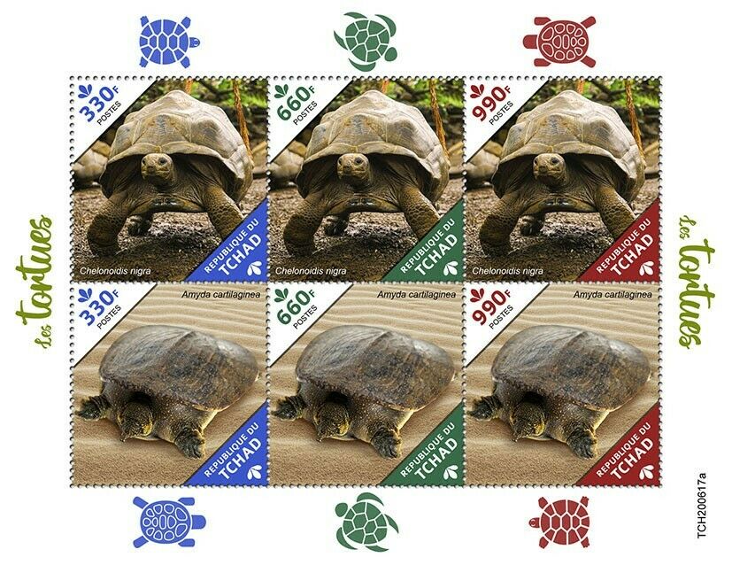 Chad Turtles Stamps 2020 MNH Galapagos Tortoise Softshell Turtle Reptiles 6v M/S