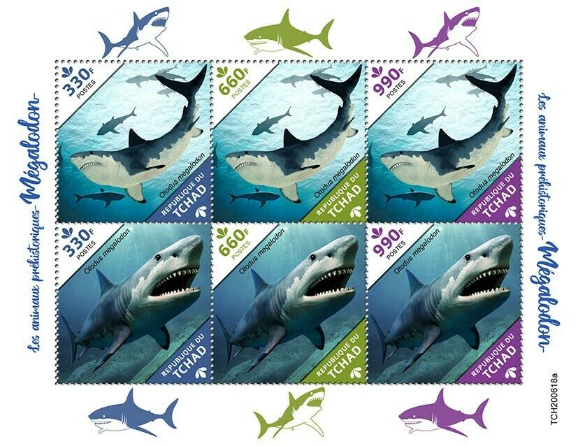 Chad Sharks Stamps 2020 MNH Megalodon Shark Prehistoric Animals 6v M/S