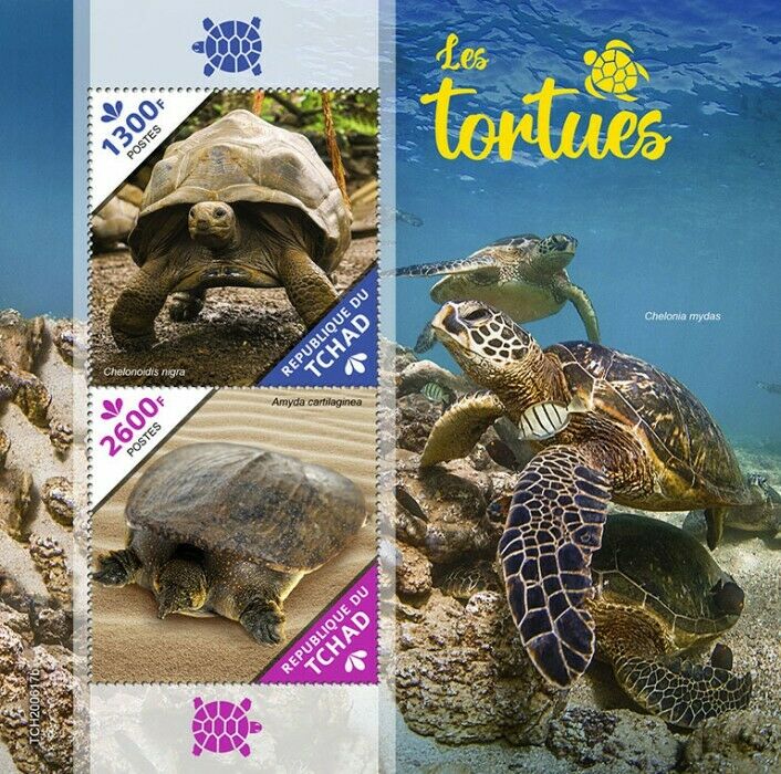Chad Turtles Stamps 2020 MNH Galapagos Tortoise Softshell Turtle Reptiles 2v S/S