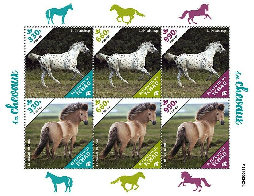 Chad Farm Animals Stamps 2020 MNH Horses Knabstrup Icelandic Horse 6v M/S