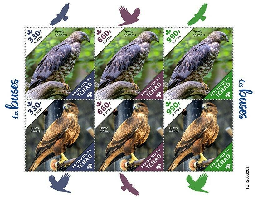 Chad Birds of Prey on Stamps 2020 MNH Buzzards Long-Legged Honey Buzzard 6v M/S