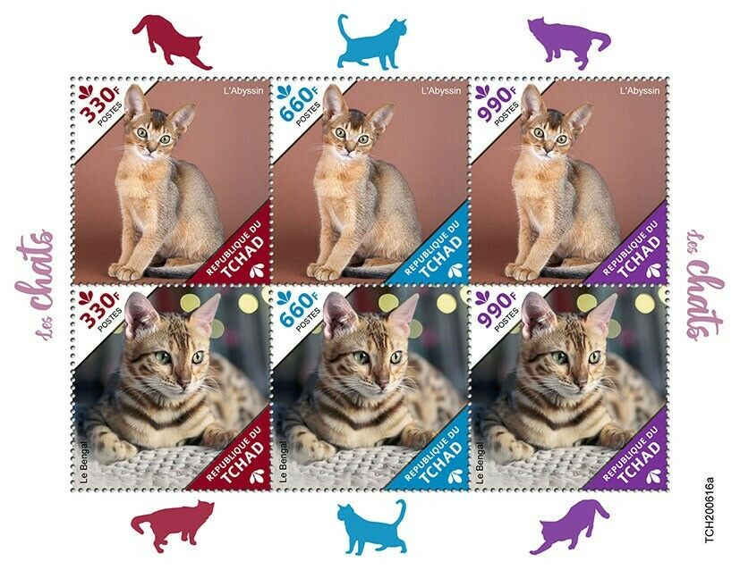 Chad 2020 MNH Cats Stamps Abyssinian Bengal Cat Domestic Animals Pets 6v M/S