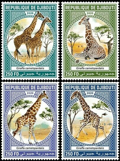 Djibouti Wild Animals Stamps 2020 MNH Giraffes Giraffe Fauna 4v Set