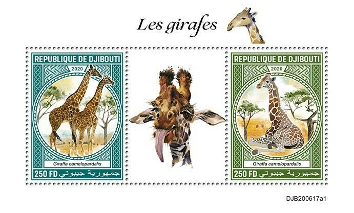 Djibouti Wild Animals Stamps 2020 MNH Giraffes Giraffe Fauna 2v S/S I