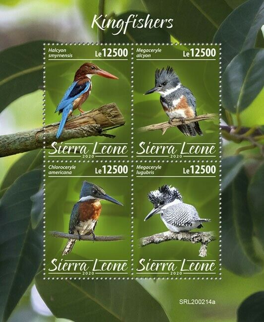 Sierra Leone 2020 MNH Birds on Stamps Kingfishers Crested Kingfisher 4v M/S