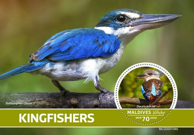 Maldives 2020 MNH Birds on Stamps Kingfishers Blue-Winged Kookaburra 1v S/S