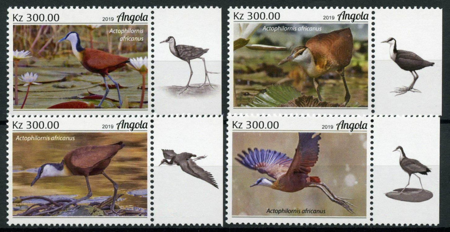 Angola Birds on Stamps 2019 MNH Jacanas African Jacana Waders Fauna 4v Set