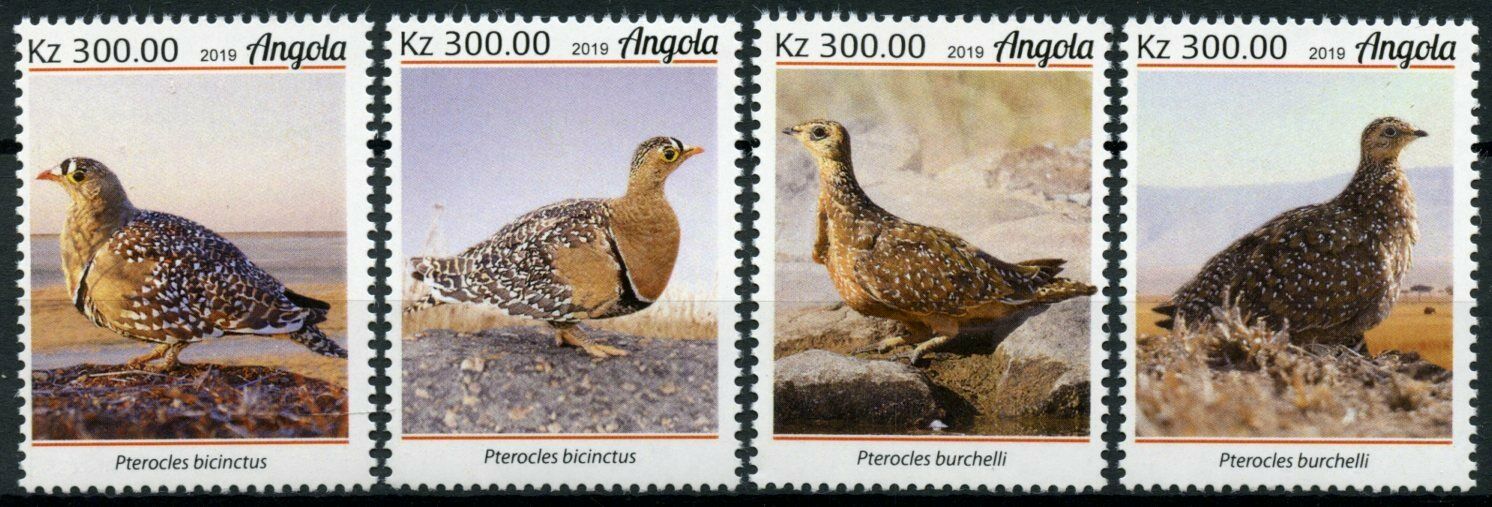 Angola 2019 MNH Birds on Stamps Sandgrouses Double-Banded Sandgrouse 4v Set