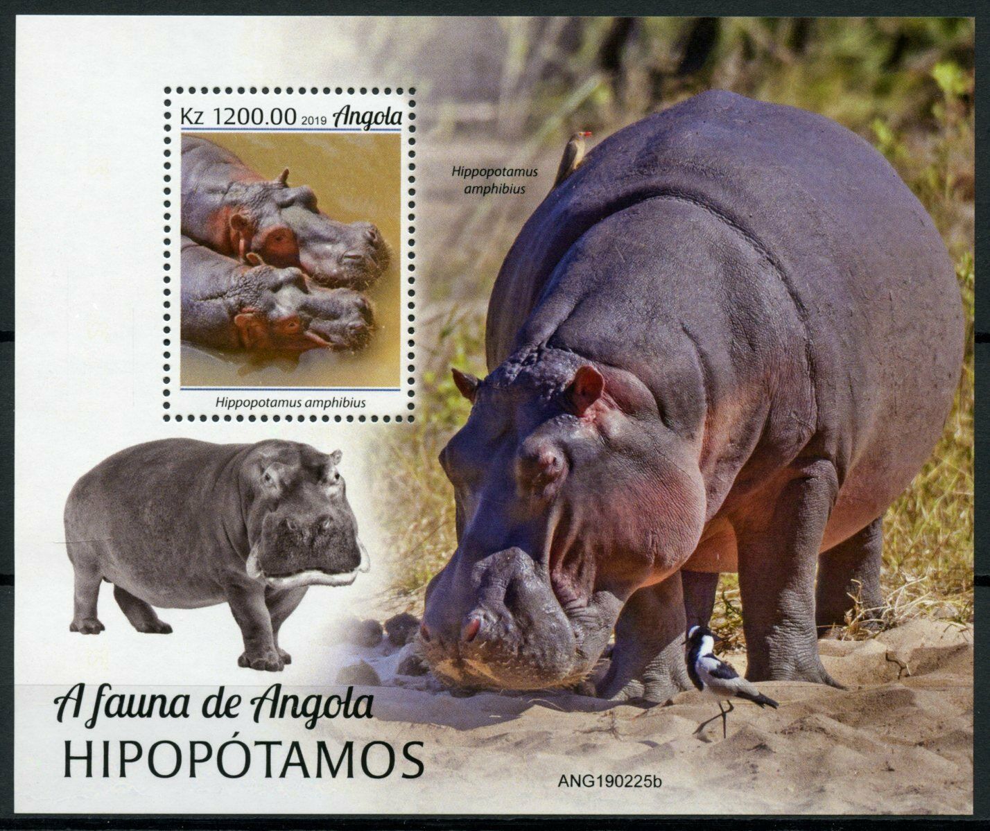 Angola 2019 MNH Wild Animals Stamps Hippopotamus Hippos Fauna 1v M/S