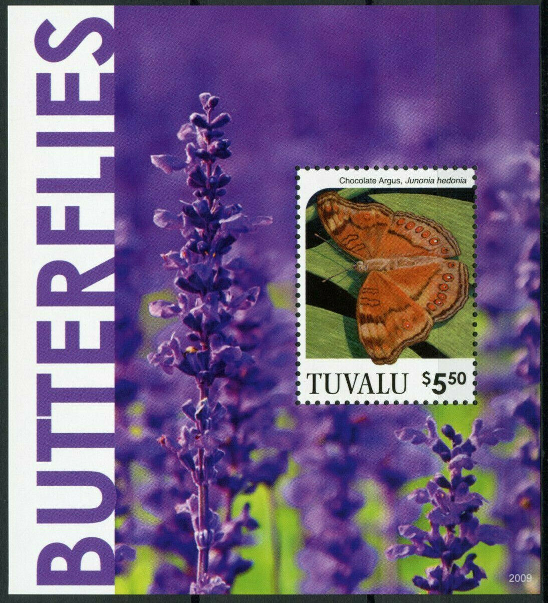 Tuvalu 2020 MNH Butterflies Stamps Chocolate Argus Butterfly 1v S/S