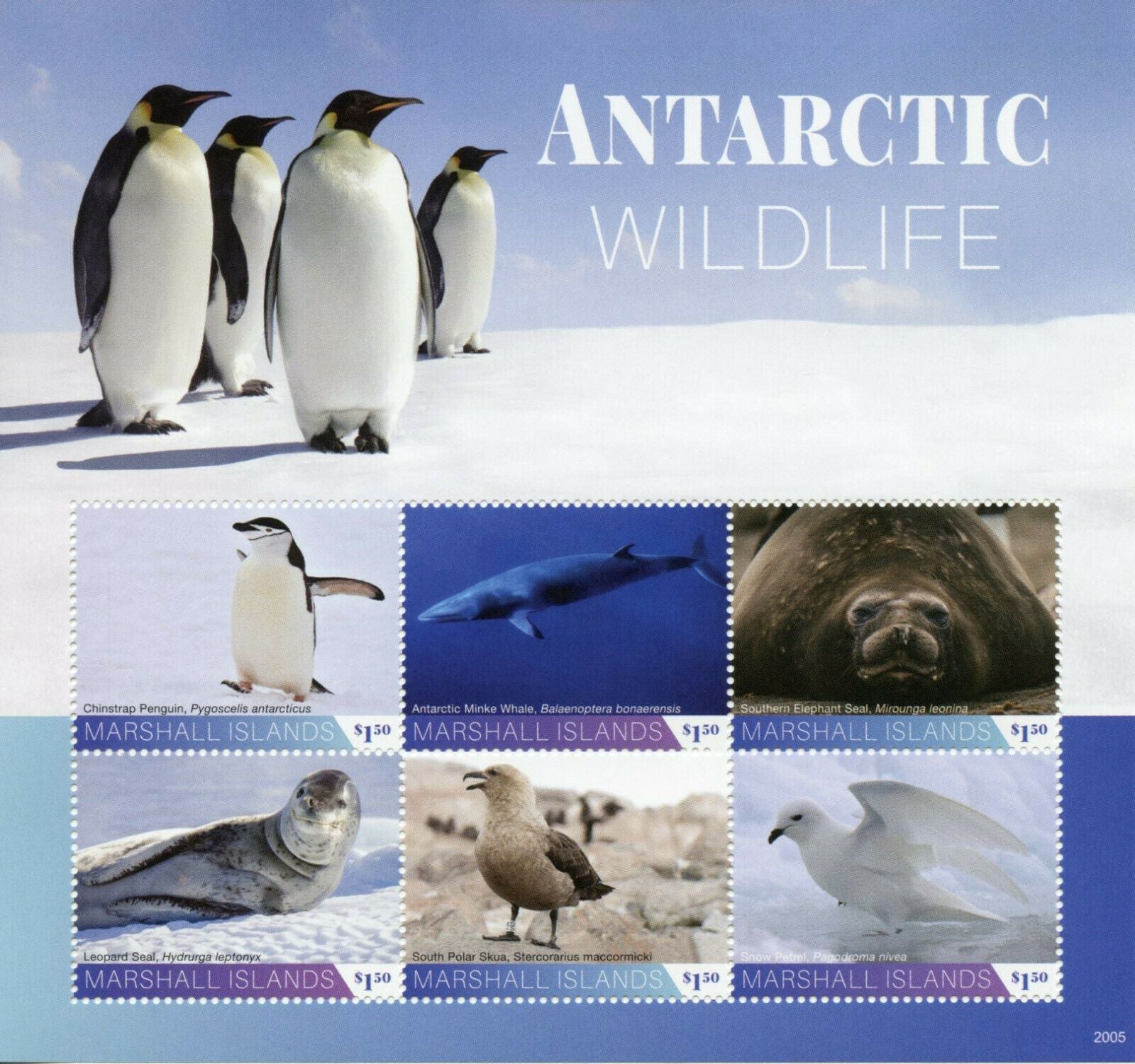 Marshall Islands 2020 MNH Antarctic Wildlife Stamps Penguins Whales Birds 6v M/S