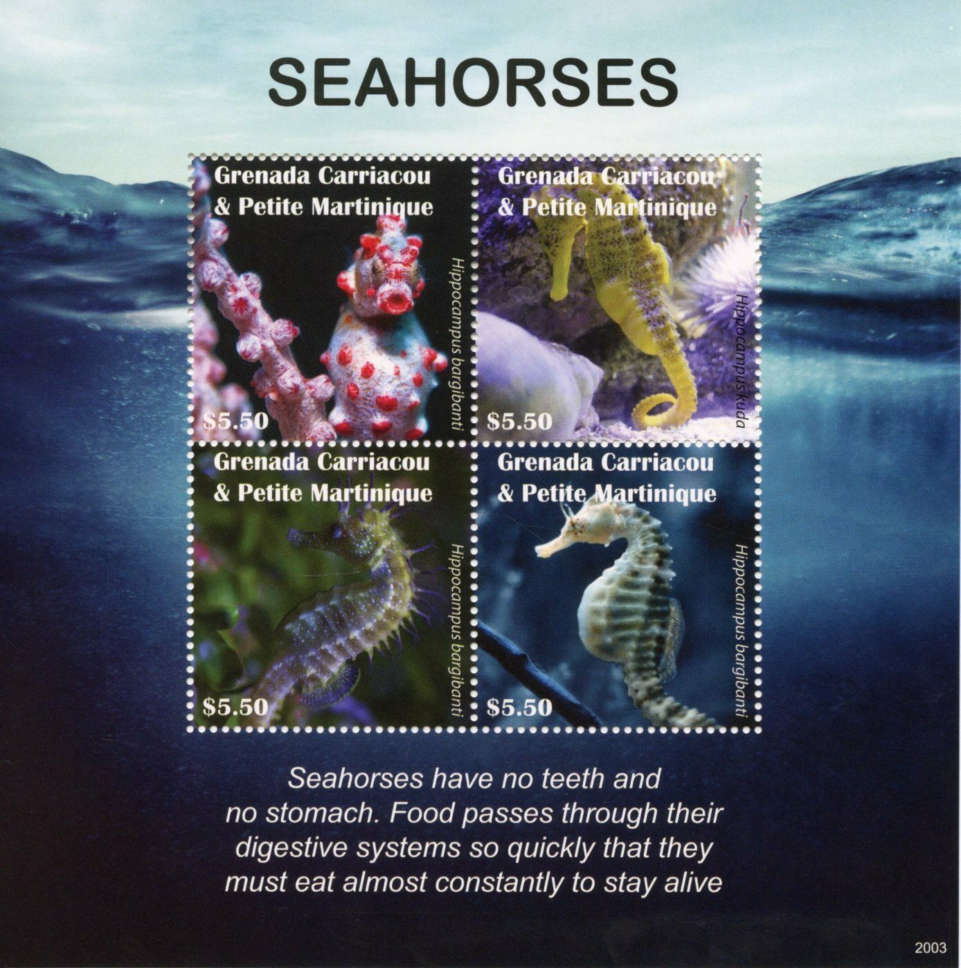 Grenada Grenadines 2020 MNH Marine Animals Stamps Seahorses Seahorse 4v M/S