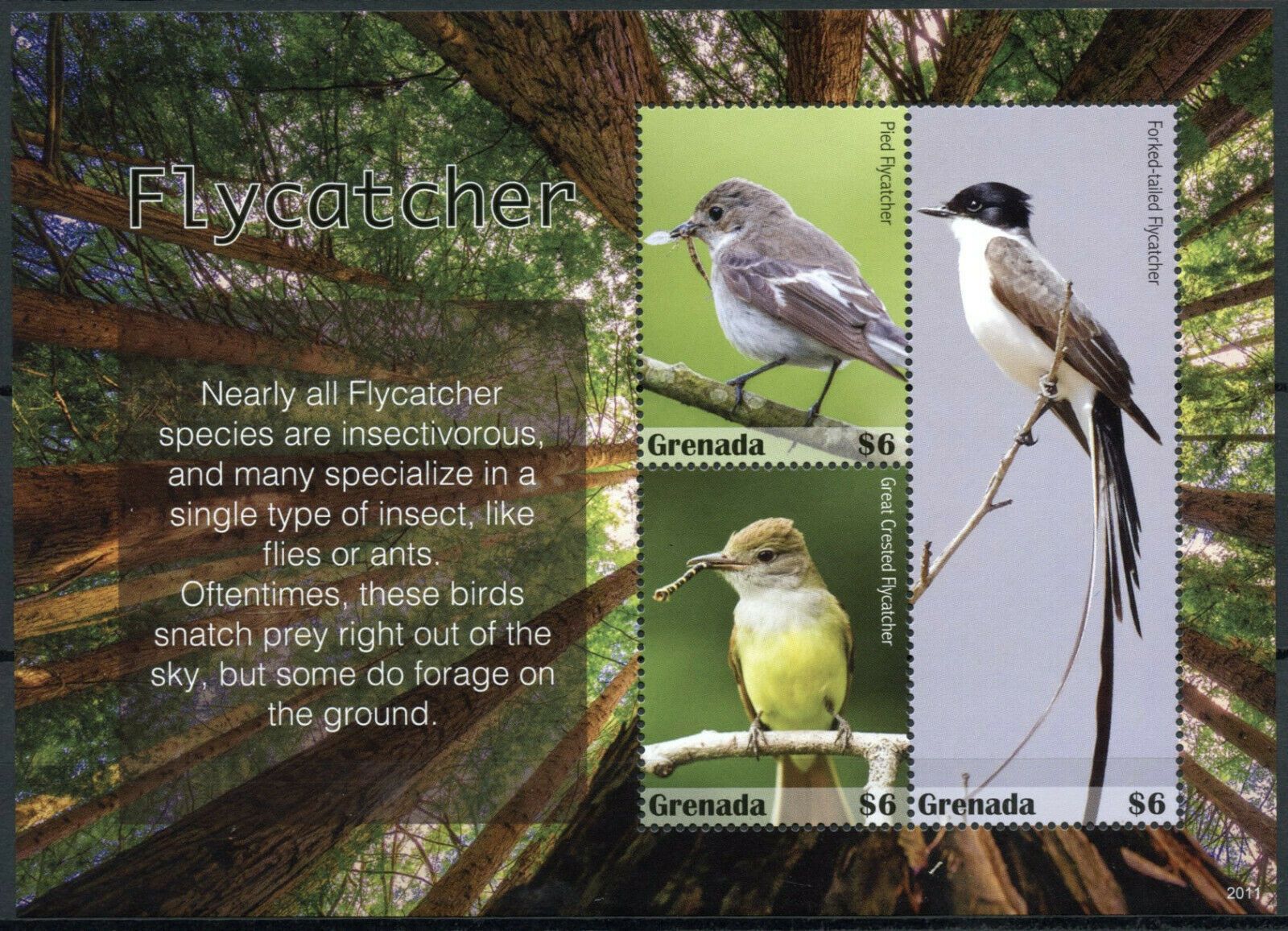 Grenada 2020 MNH Birds on Stamps Flycatchers Pied Flycatcher 3v M/S