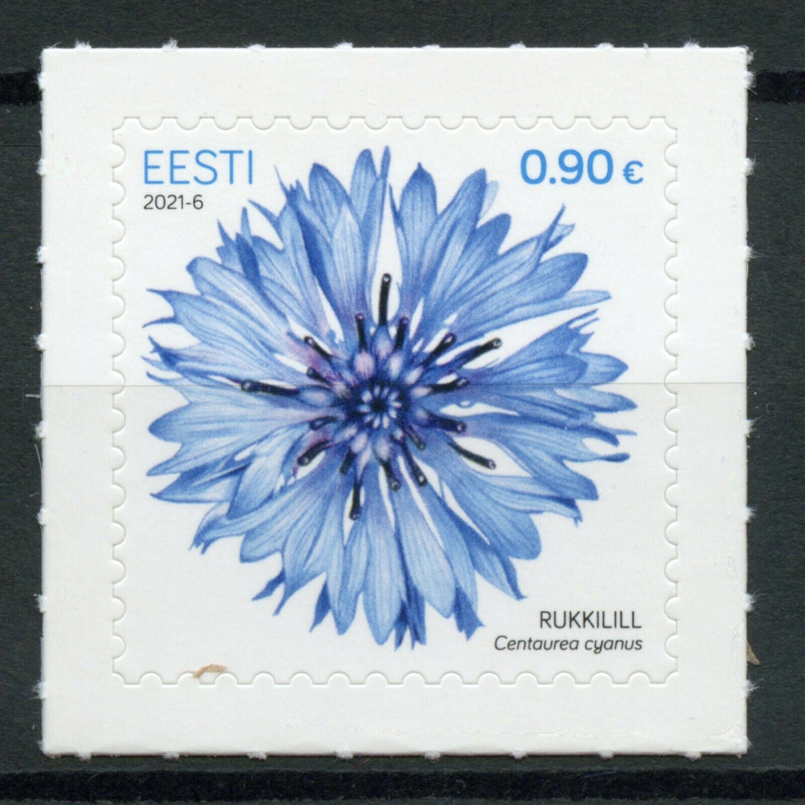 Estonia Flowers Stamps 2021 MNH Cornflower Plants Nature 1v S/A Set