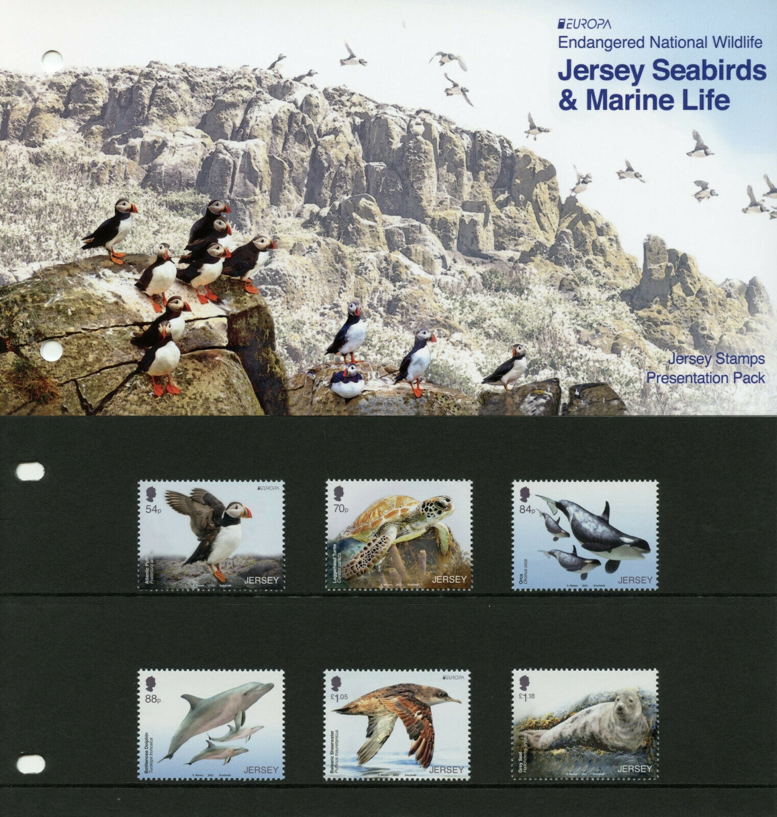 Jersey Europa Stamps 2021 MNH Endangered Ntl Wildlife Birds Turtles 6v Set P/P