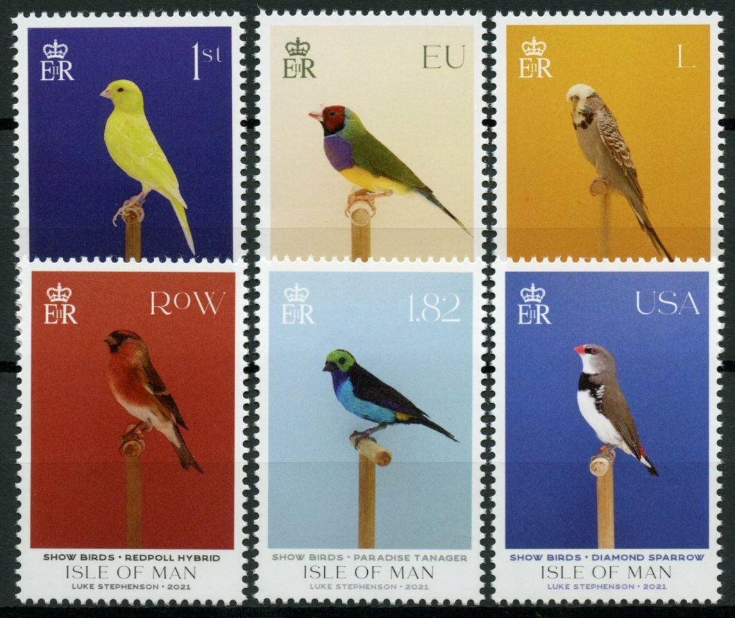 Isle of Man IOM Birds on Stamps 2021 MNH Show Birds Finches Tanagers 6v Set
