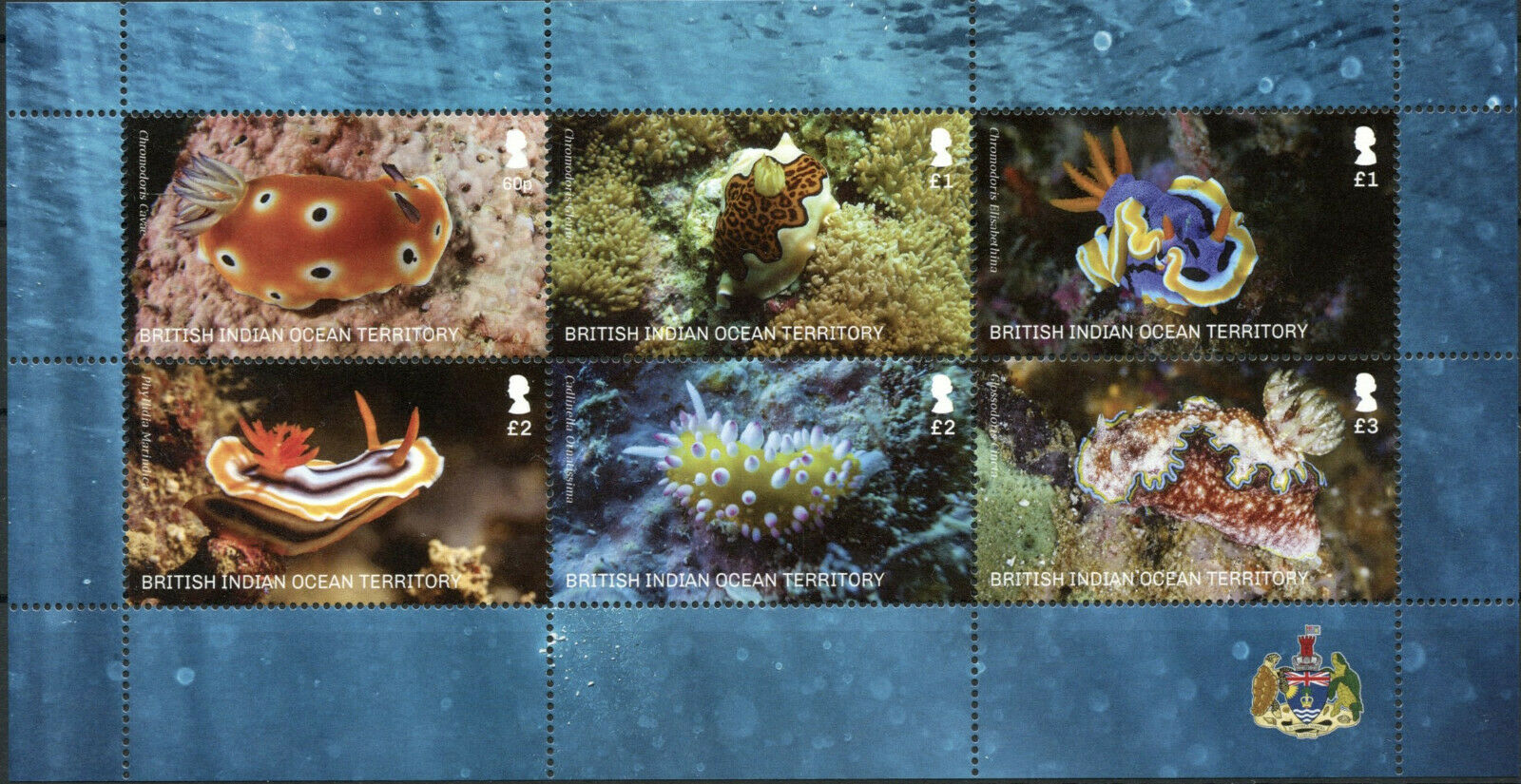 BIOT 2021 MNH Marine Animals Stamps Seaslugs Corals Coral 6v M/S