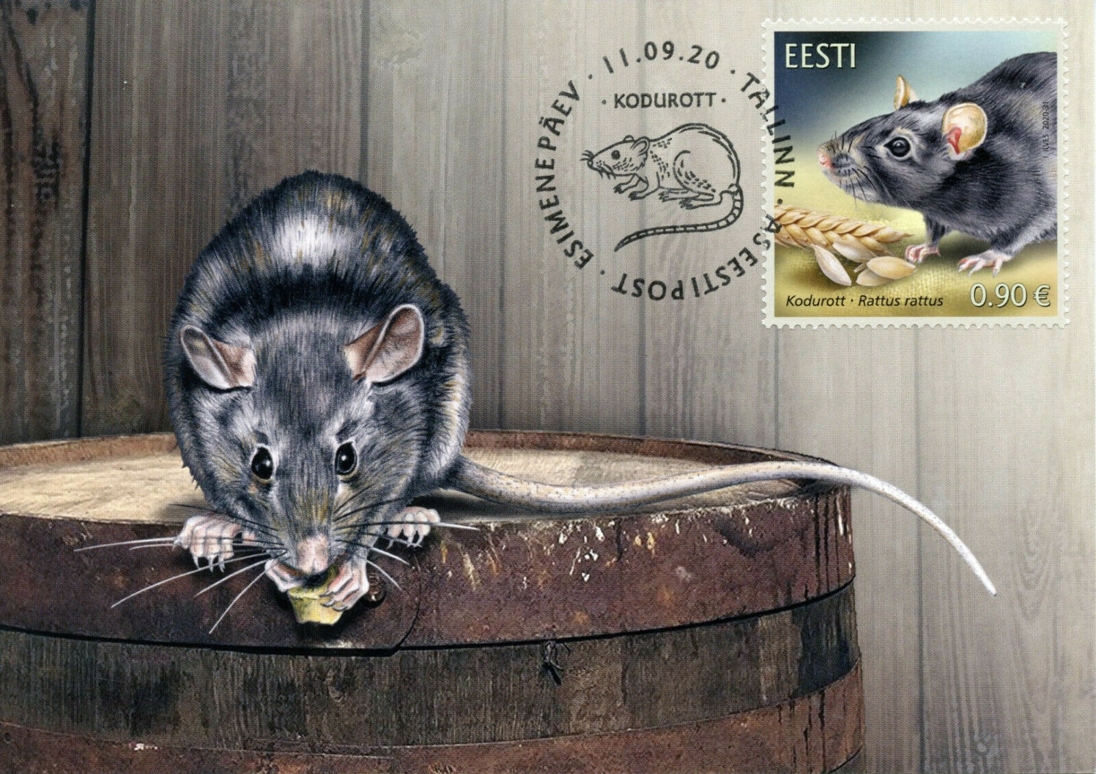 Estonia Wild Animals Stamps 2020 MAXI Black Rat Rats Estonian Fauna 1v Set
