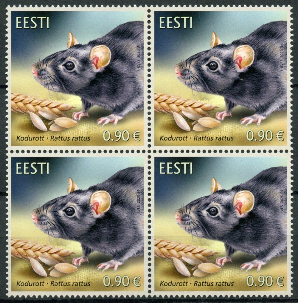 Estonia Wild Animals Stamps 2020 MNH Black Rat Rats Estonian Fauna 4v Block