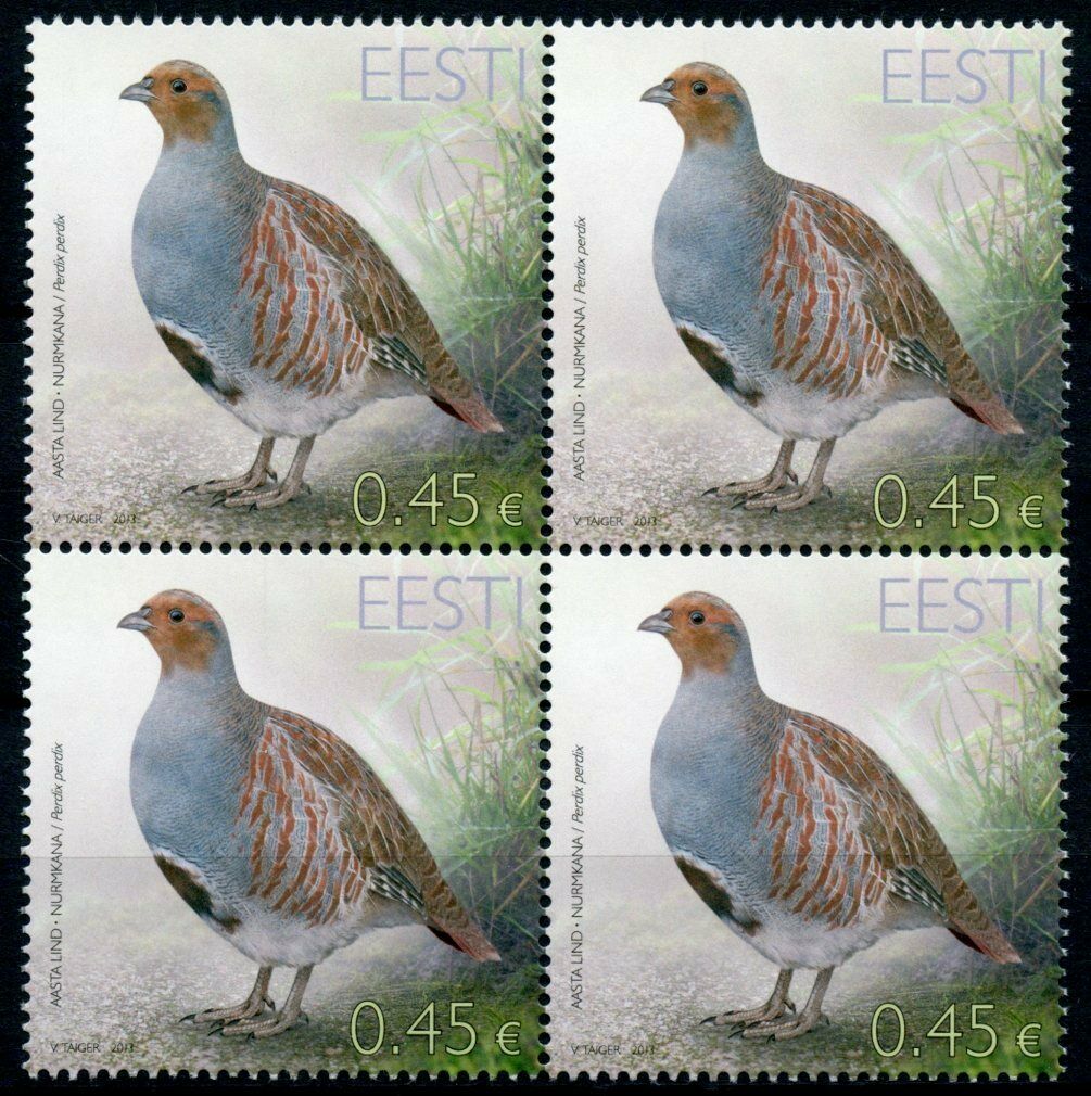 Estonia Birds on Stamps 2013 MNH Partridge Bird of Year Partridges 4v Block