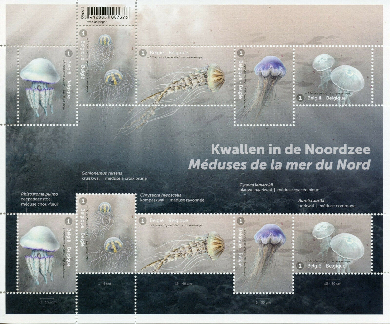 Belgium Marine Animals Stamps 2021 MNH Jeffyfish in North Sea 10v M/S