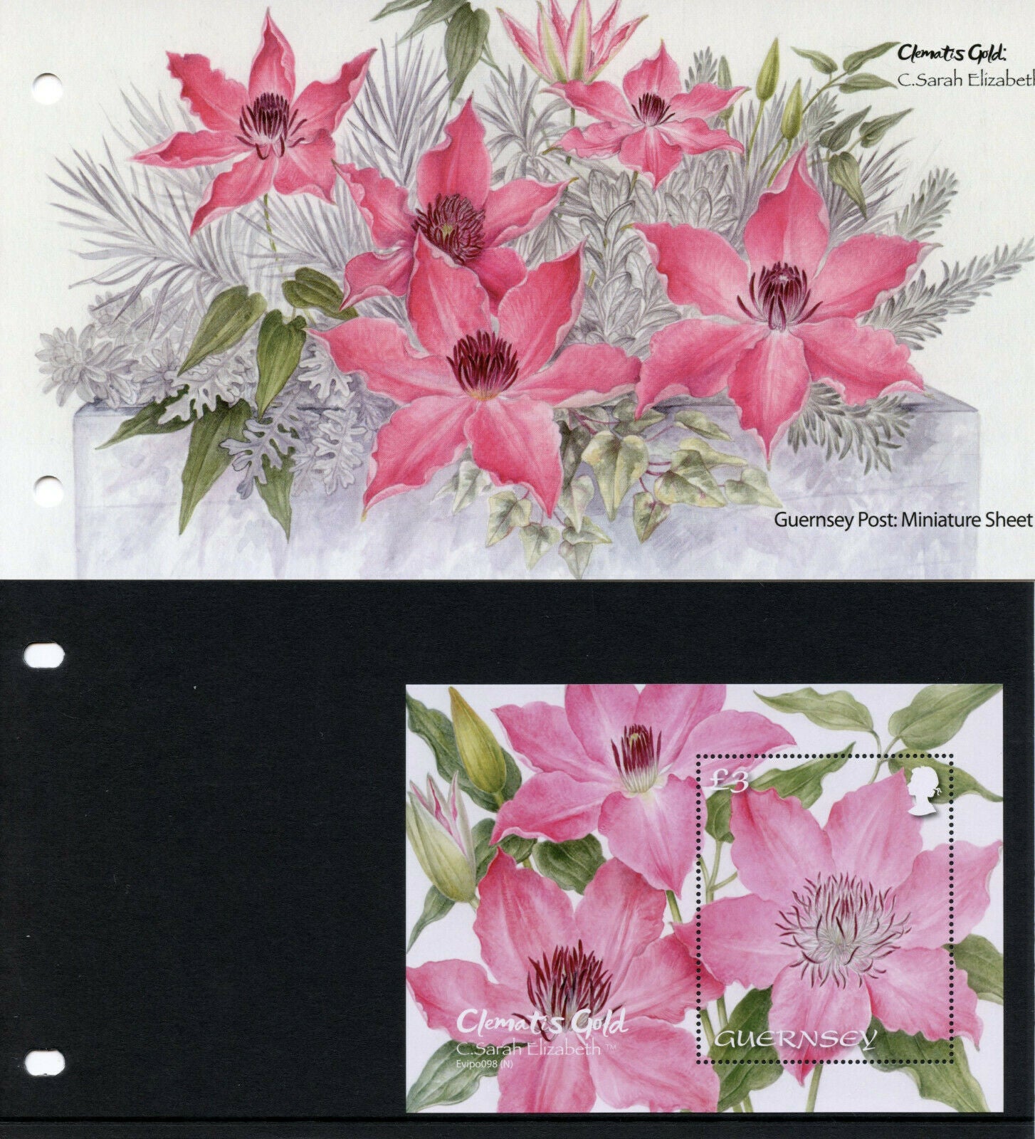 Guernsey Flowers Stamps 2021 MNH Clematis Gold C. Sarah Elizabeth 1v M/S P/P