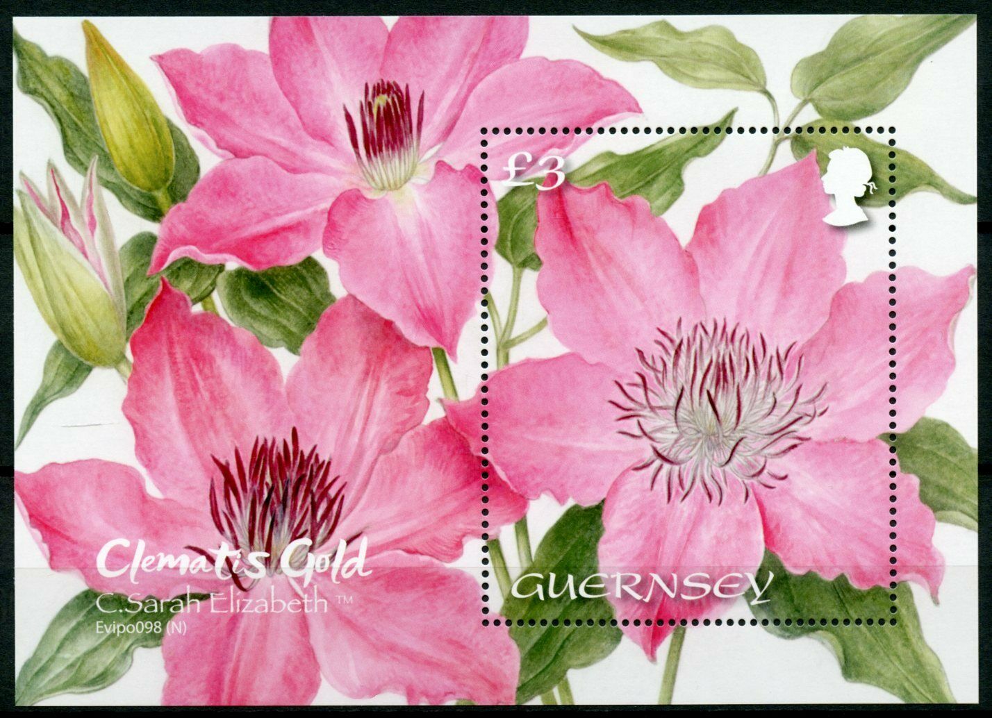 Guernsey Flowers Stamps 2021 MNH Clematis Gold C. Sarah Elizabeth Nature 1v M/S