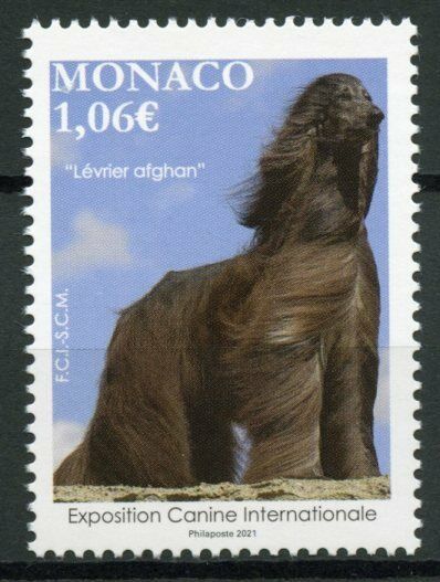 Monaco Dogs Stamps 2021 MNH International Dog Show Afghan Hound 1v Set