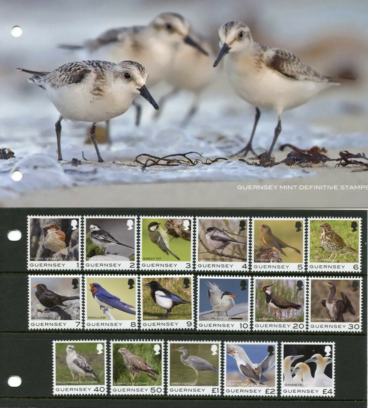Guernsey Definitives Stamps 2021 MNH Birds Sparrows Buzzards Herons 17v Set P/P