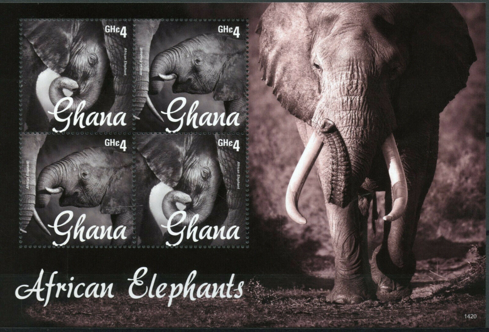 Ghana Wild Animals Stamps 2014 MNH African Elephants Fauna 4v M/S I